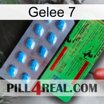 Jelly 7 new03